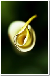 arome2