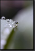 DSC00790