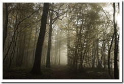 _DSC0273_DxO_sm