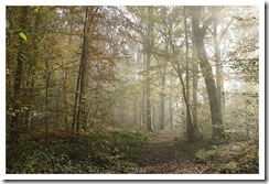 _DSC0278_p