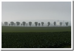 _DSC0333_DxO_sm