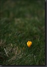 DSC04054_petit