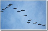 formation serrée