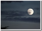 Lune