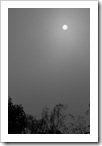 SONY DSC