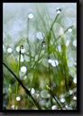 DSC09187_petit