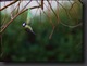 DSC09472