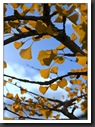 DSC09866A_petit