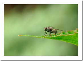 _DSC6521
