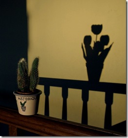ombres
